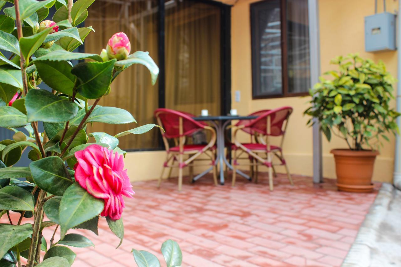 Lasha Apartment ティビリシ エクステリア 写真